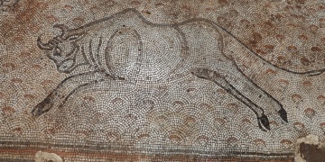 İslahiye'de bulunan mozaikler Zeugma Mozaik Müzesi'ne taşınıyor